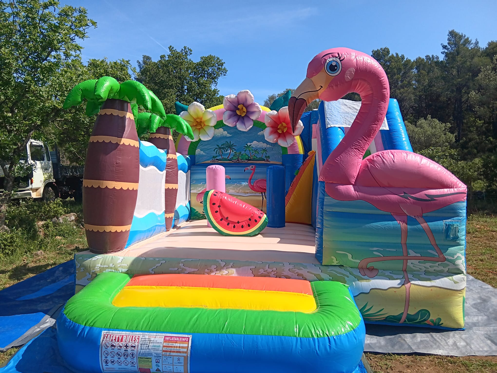 FLAMAND ROSE Image 2